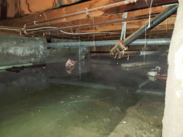 Best Fire Damage Restoration  in Ironton, OH