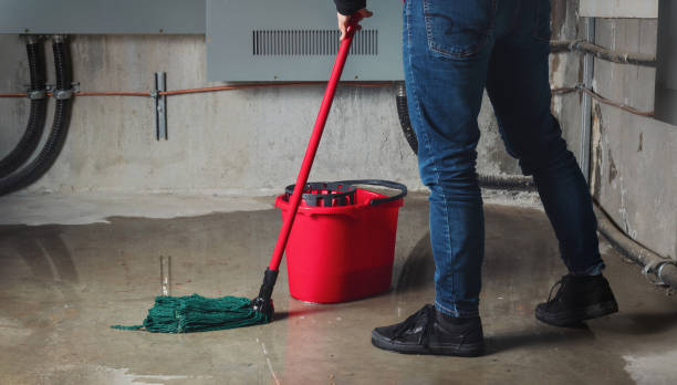 Best Sewage cleanup and water damage restoration  in Ironton, OH