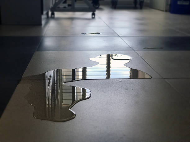 Best Water damage restoration near me  in Ironton, OH