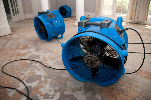 Best Water damage restoration cost  in Ironton, OH