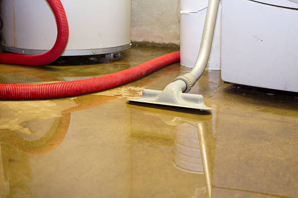 Best Residential water damage restoration  in Ironton, OH