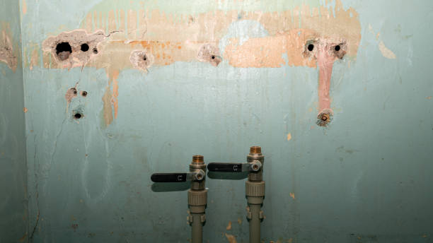 Best Flood restoration services  in Ironton, OH