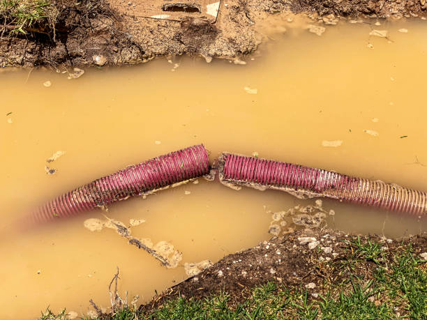 Best Professional water damage repair  in Ironton, OH