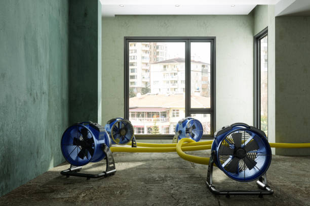 Best Water damage restoration near me  in Ironton, OH